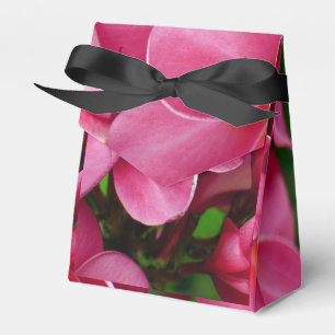 Pink plumeria floral photo favor box