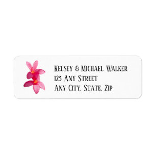 Pink Plumeria Flowers, Tropical, Floral,