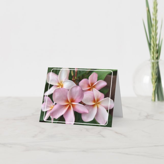 Pink Plumeria Folded Thank You Card (Front)