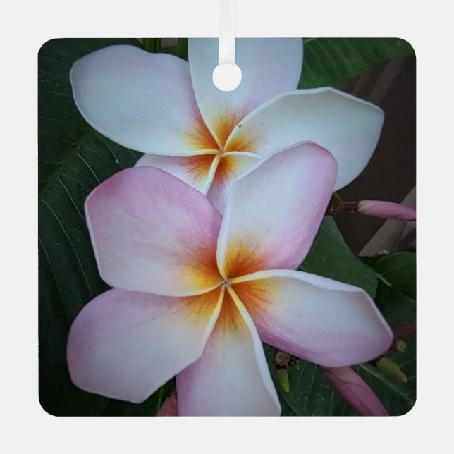 Pink Plumeria Metal Ornament (Front)