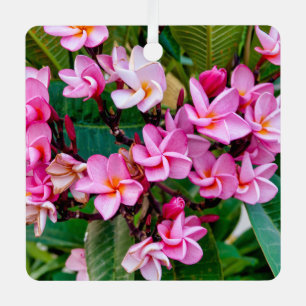 Pink Plumeria Metal Ornament