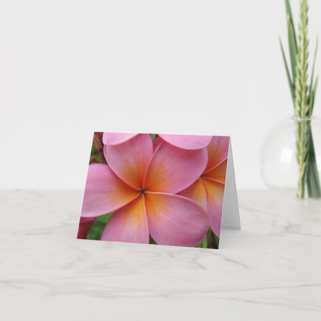 Pink Plumeria Notecard (Front)