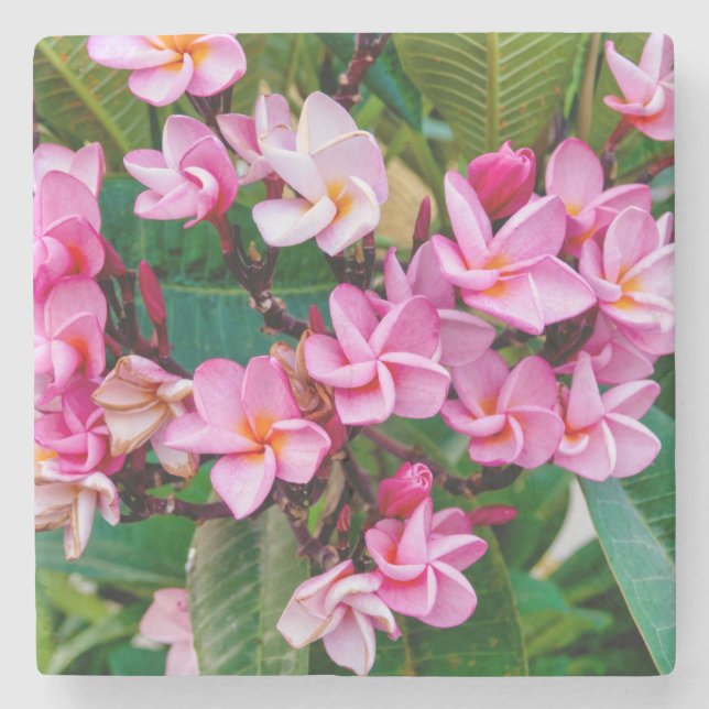 Pink Plumeria Stone Coaster (Front)