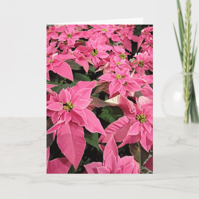 Pink Poinsietta Christmas Card (Front)
