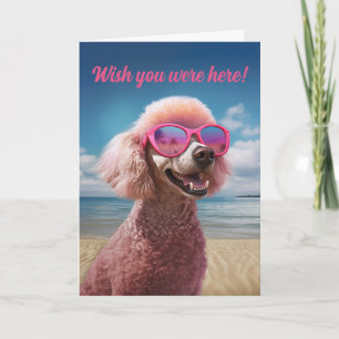 Pink Poodle Tropical Paradise Greeting Card
