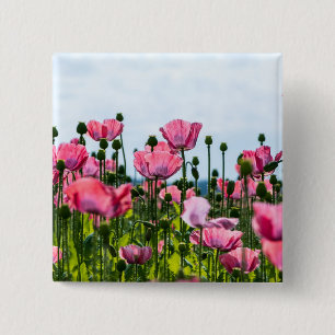 Pink Poppies 2 Inch Square Button