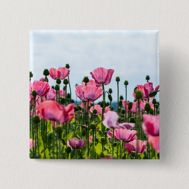 Pink Poppies 2 Inch Square Button (Front)