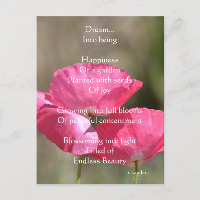Pink Poppies Dream Poem Postcard (Front)