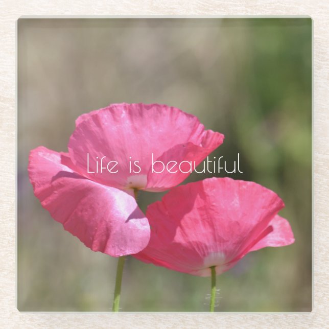 Pink Poppies   Glass Coaster (Front)