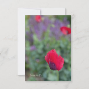 Pink Poppies, Purple Garden Card