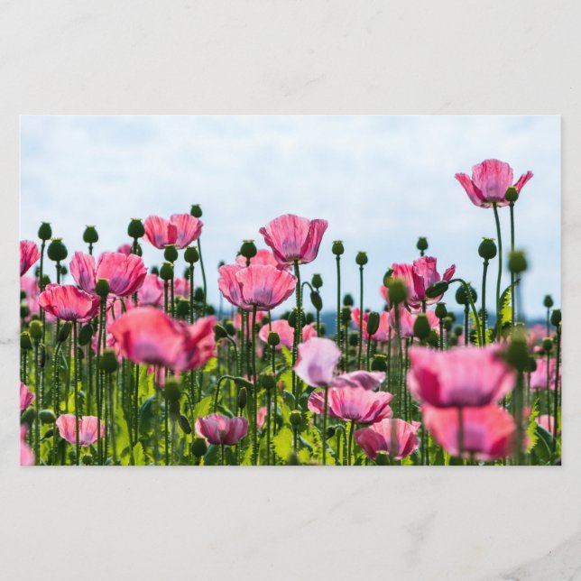 Pink Poppies Stationery (Front)