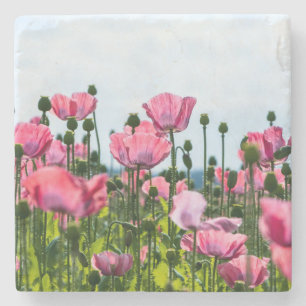 Pink Poppies Stone Coaster