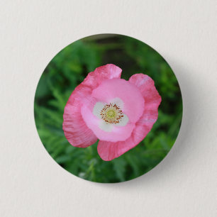 Pink Poppy 2 Inch Round Button