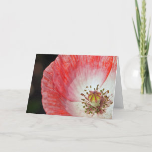 Pink Poppy Birthday Card