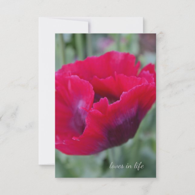 Pink Poppy Card (Front)