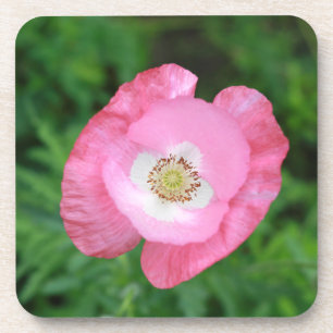 Pink Poppy Coaster