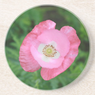 Pink Poppy Coaster
