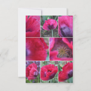 Pink Poppy Collage  Card