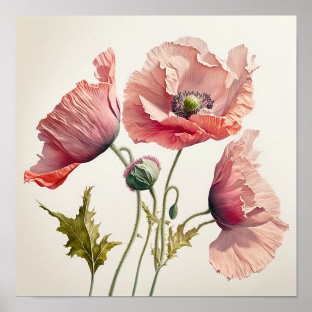 Pink Poppy Flowers Art Print Poster (Front)