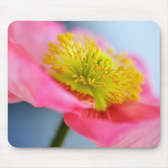 Pink Poppy Mouse Pad (Front)