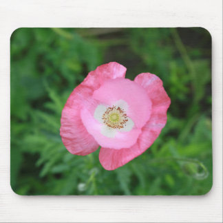 Pink Poppy Mouse Pad