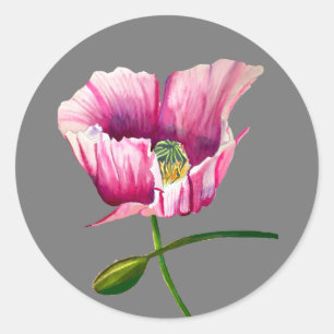 Pink Poppy watercolor flower pretty art Classic Round Sticker