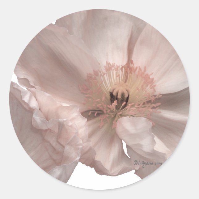 Pink Poppy Wedding Invitation Seals (Front)