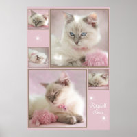 pink poster3