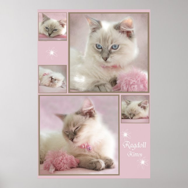 pink poster3 poster (Front)