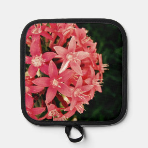 Pink Pot Holder