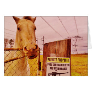 Pink Private Property Horse