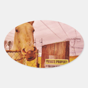 Pink Private Property Horse Oval Sticker