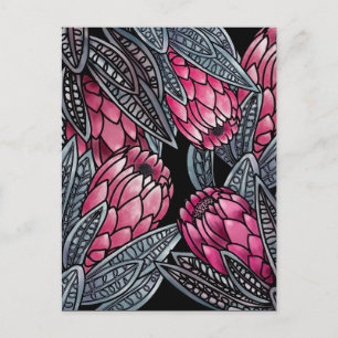 Pink Protea exotic flower Postcard