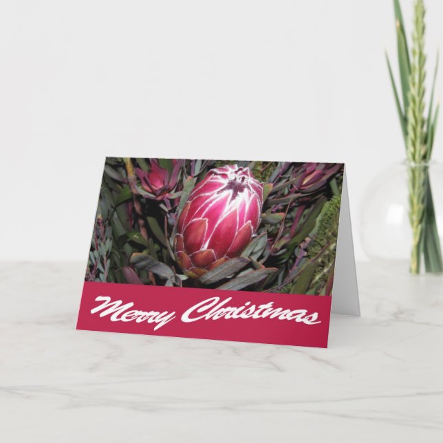 Pink Protea Flower Merry Christmas Card (Front)