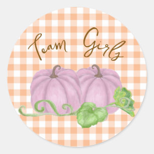 Pink pumpkin twin gender reveal Team Girls Classic Round Sticker