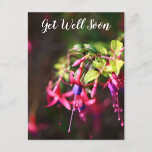 Pink Purple Colourful Fuchsia Flower Get Well Soon Holiday Postcard