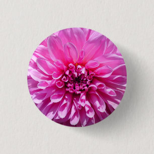 Pink Purple Dahlia Flower  1 Inch Round Button