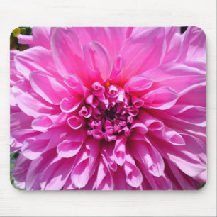 Pink Purple Dahlia Flower Mouse Pad