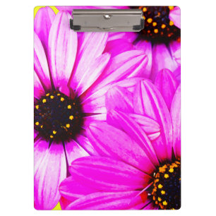 Pink/Purple Daisies - Clipboard