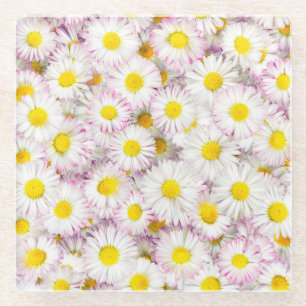 Pink Purple Daisy Flower Pattern Glass Coaster