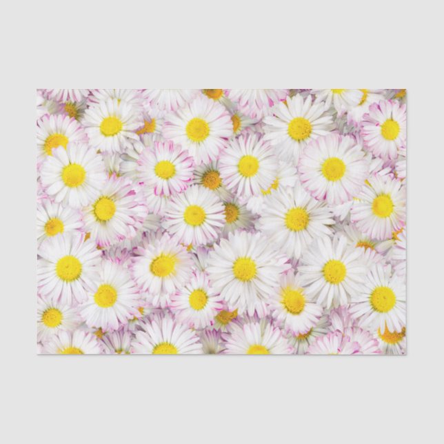 Pink Purple Daisy Flower Pattern Tissue Paper (Front)
