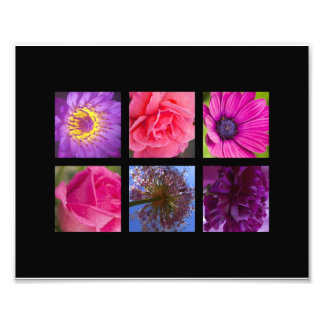 Pink & Purple Flowers Photo Print