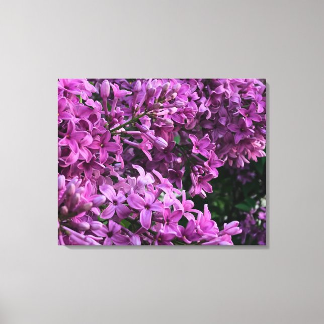 Pink purple lilacs | romantic pink floral photo canvas print (Front)