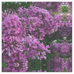 Pink purple lilacs   romantic pink floral photo fabric