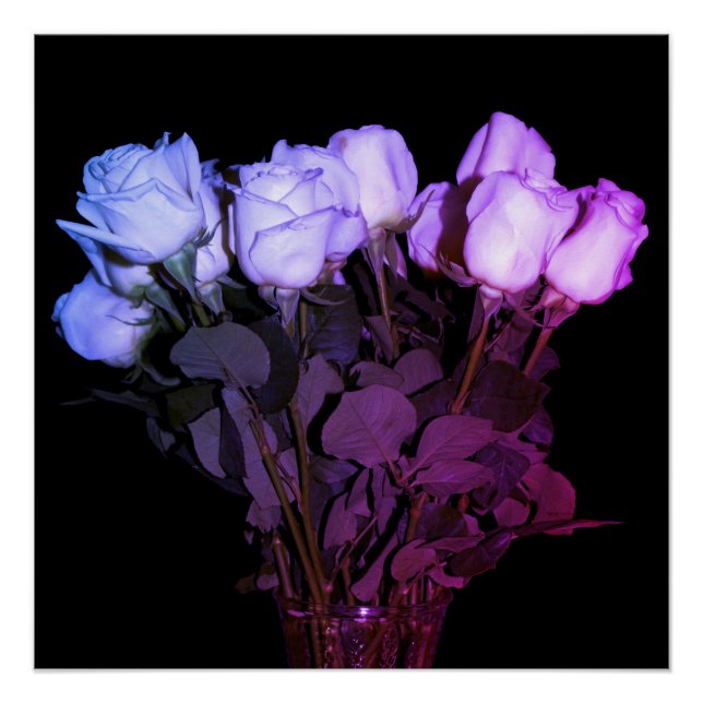 Pink & Purple Long-Stemmed Roses in Vase on Black Poster (Front)