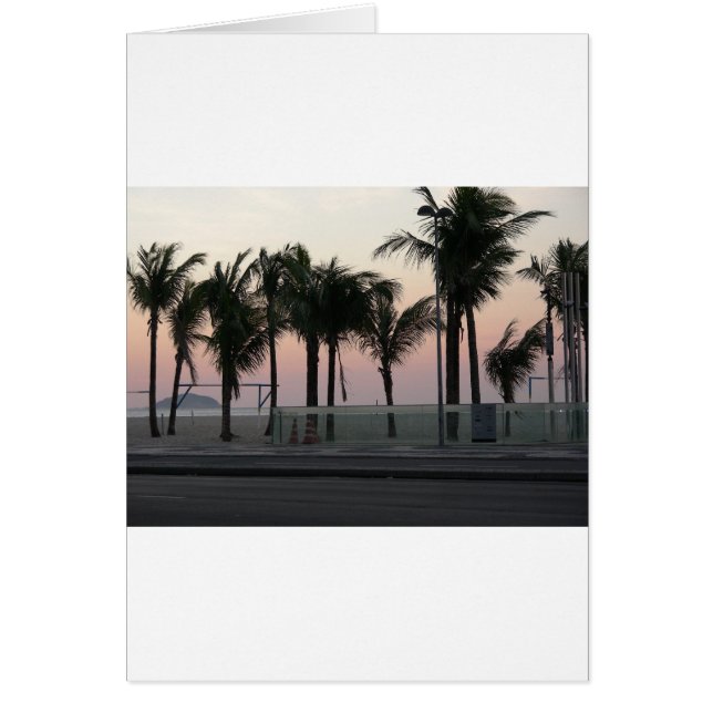 Pink Purple Palms (Front)