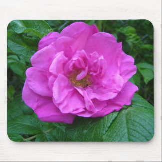 pink, purple rose flower mouse pad