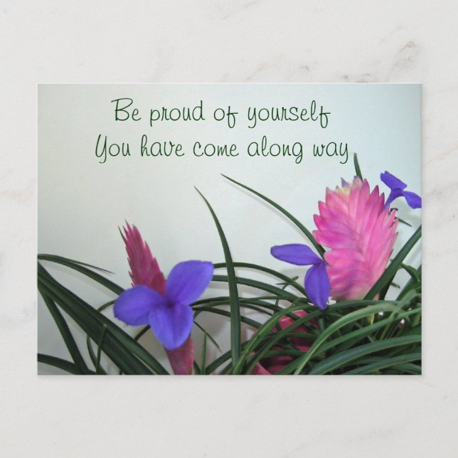 Pink Quill Plants Postcard (Front)
