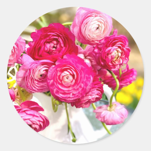 Pink Ranunculus Classic Round Stickers  (Front)