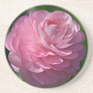 Pink ranunculus flower coaster